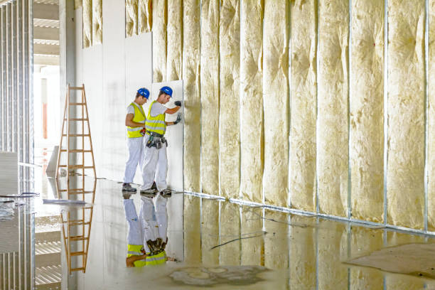 Best Specialized Insulation Services in Del Norte, CO